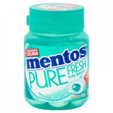 27012 24* Mentos Gum Bottle Pure Fresh Wintergreen
